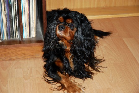 Charlie